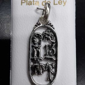 Colgante de plata TABLA de LA SUERTE 1cm x 2,5cm Herradura, Trébol, 13, Buho, Figa, Jorobado, Elefante.